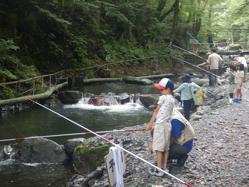 親子で渓流釣り体験