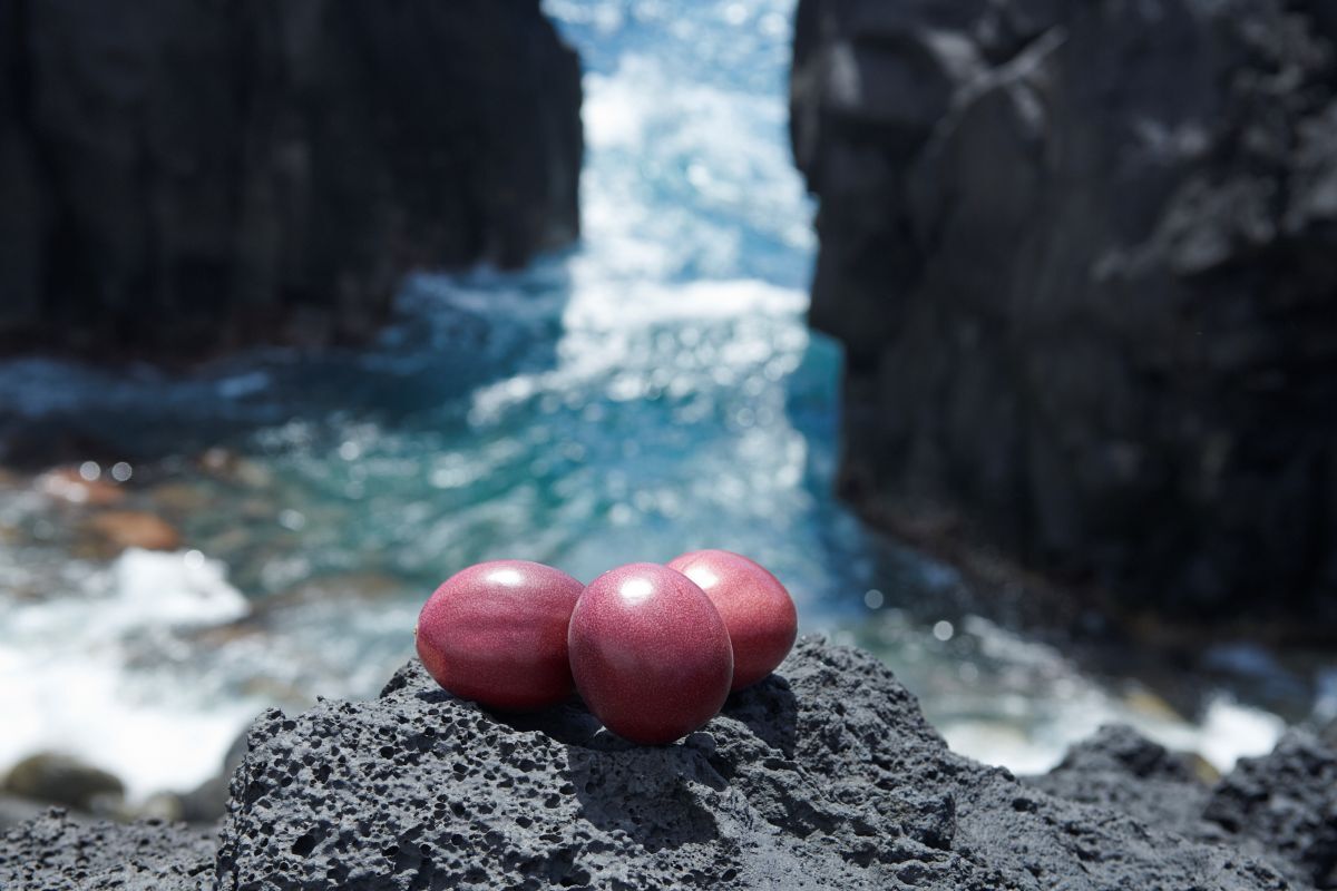 三宅島の海とパッションフルーツ