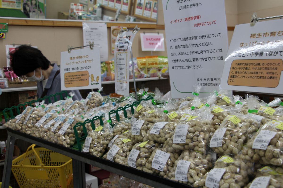 落花生まつりの様子