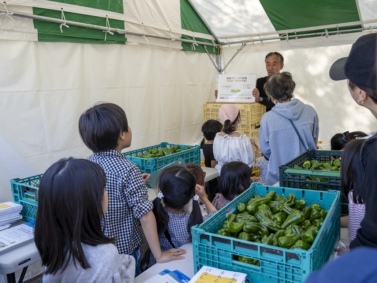 ダブルクリックで画像を設定してください。