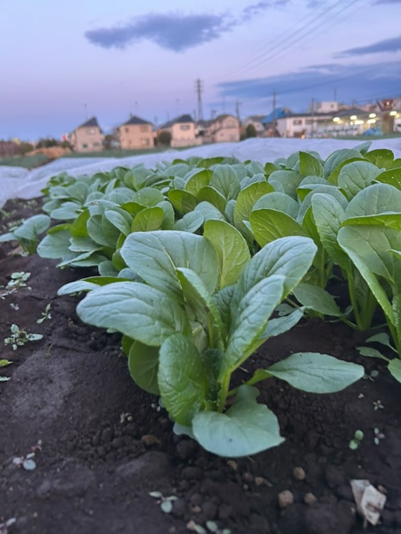 イベント出店リスト画像