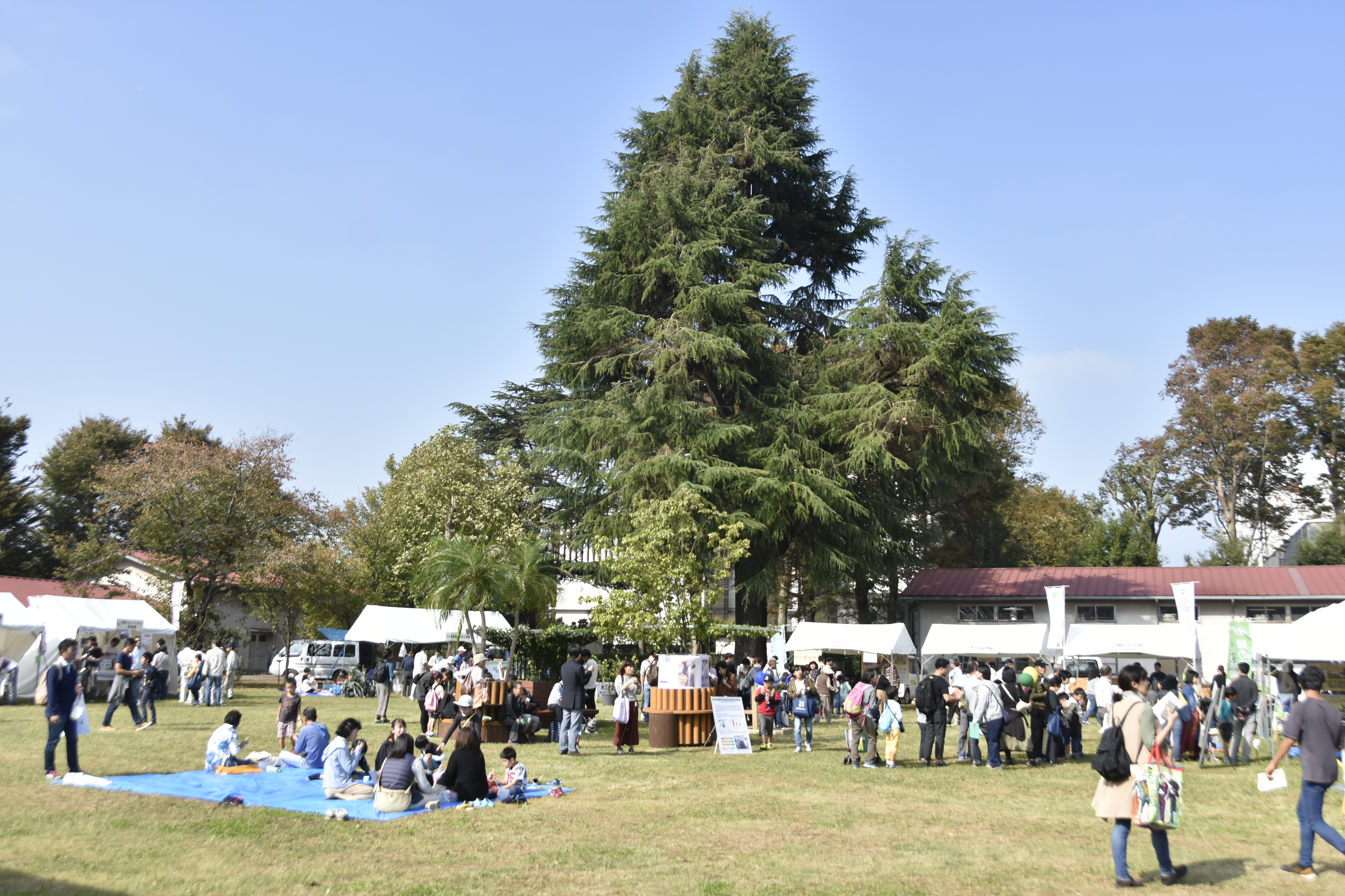 イベント詳細トップ