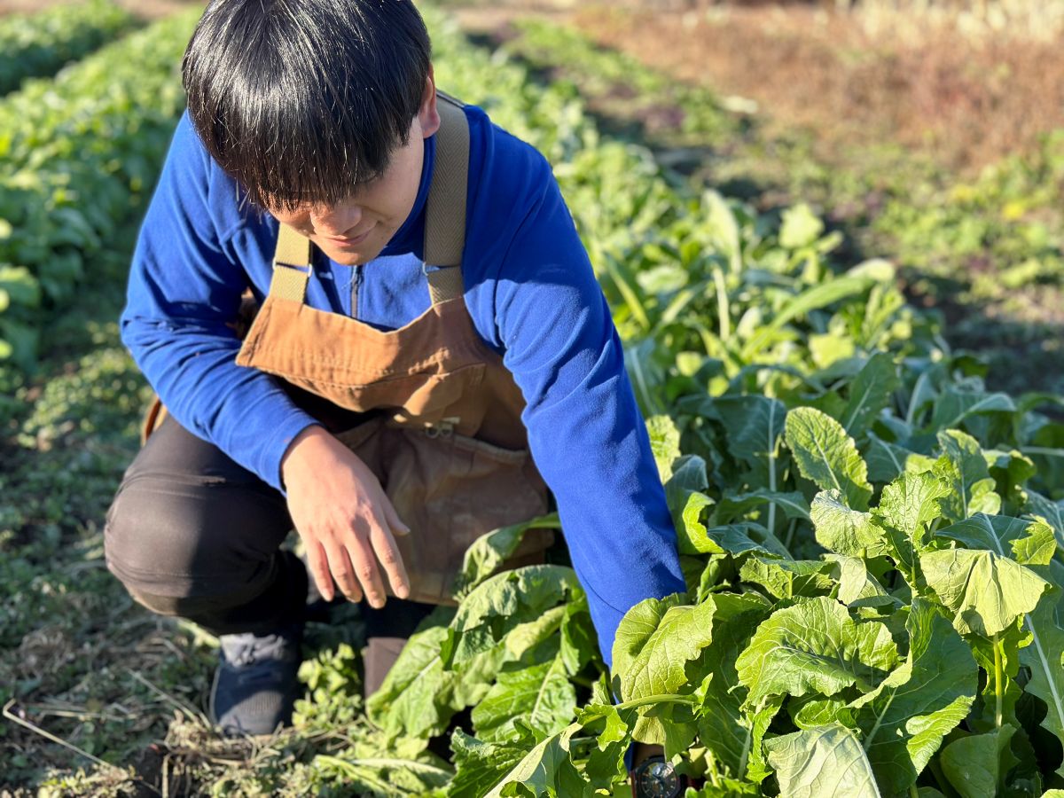 東京繁昌農園・繁昌知洋さん
