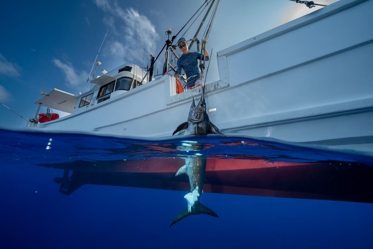 イベント詳細トップ