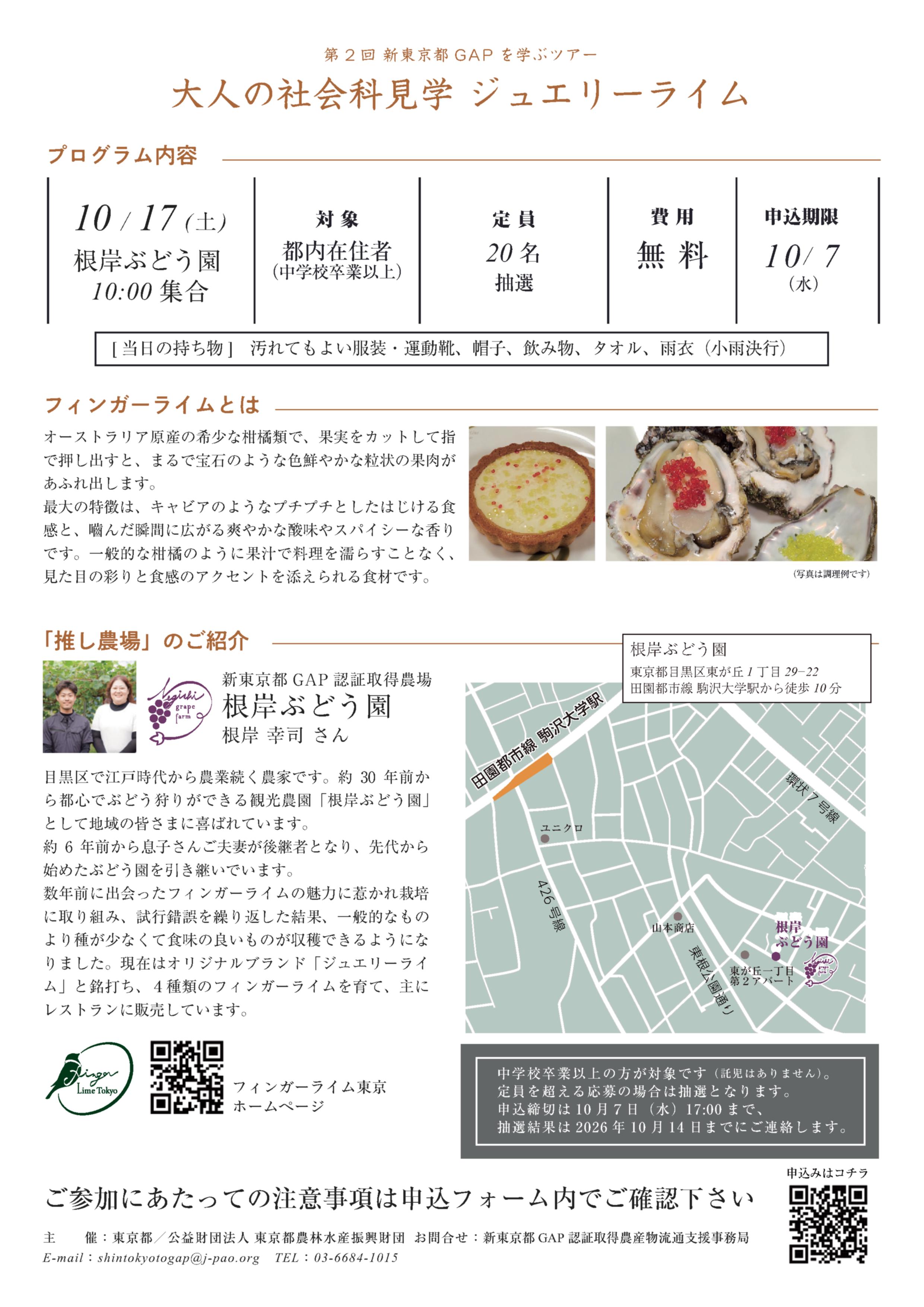 新東京都GAPフィンガーライム裏