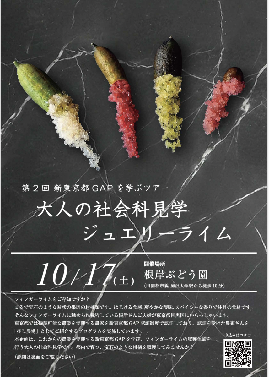 新東京都GAPフィンガーライム表