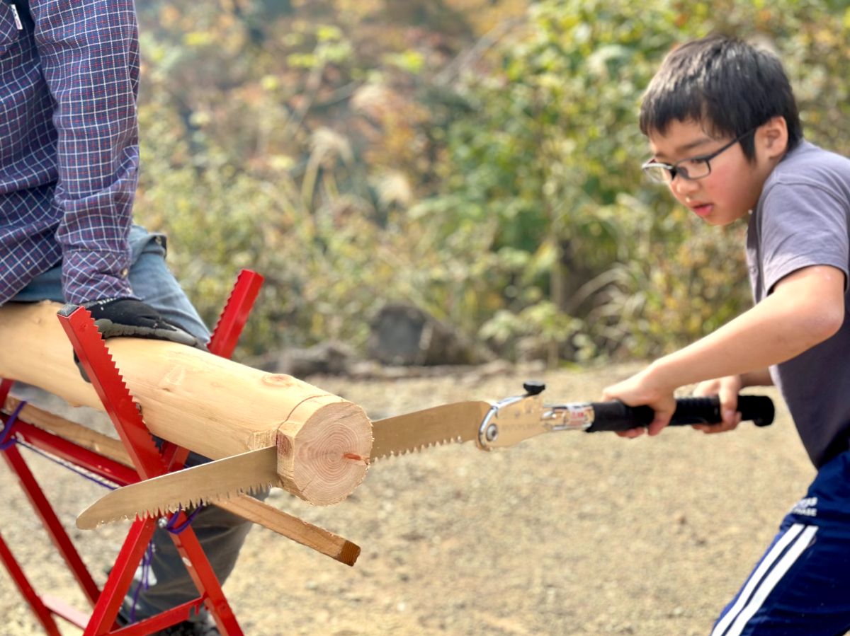 ヒノキの丸太をカット