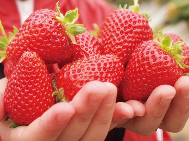 イベント情報詳細
