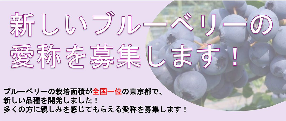 イベント情報詳細