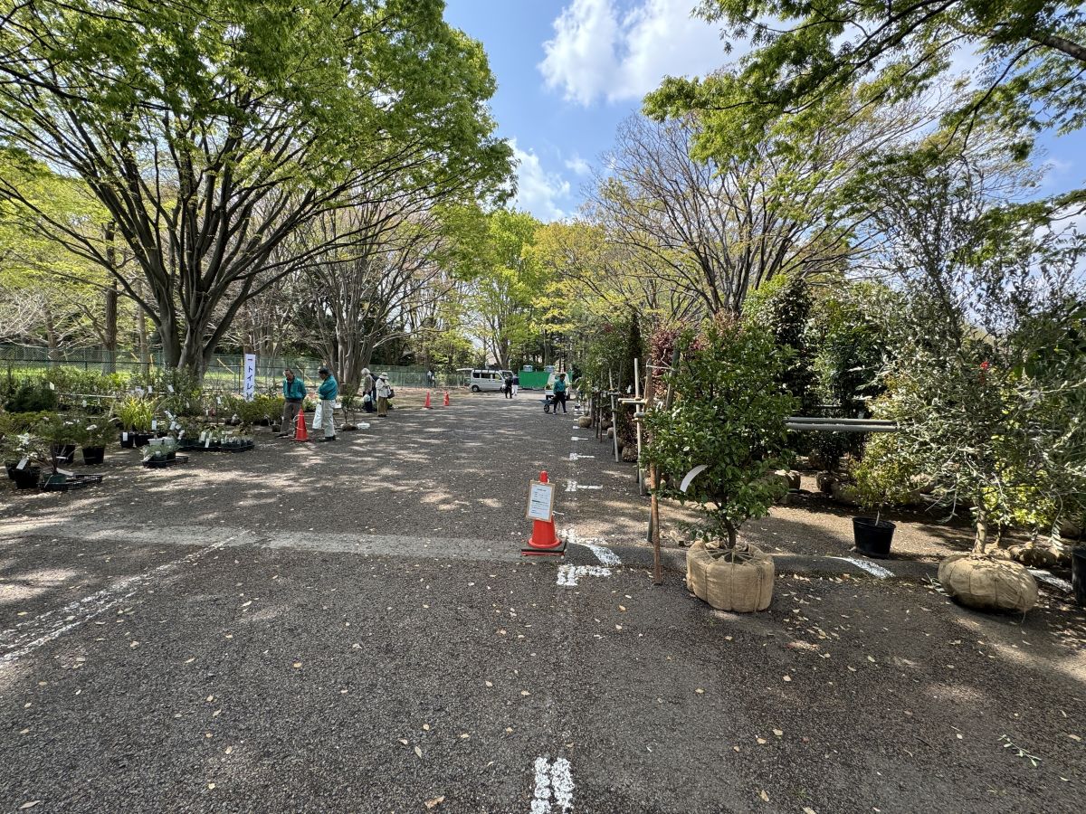 東京都農業祭植木部門