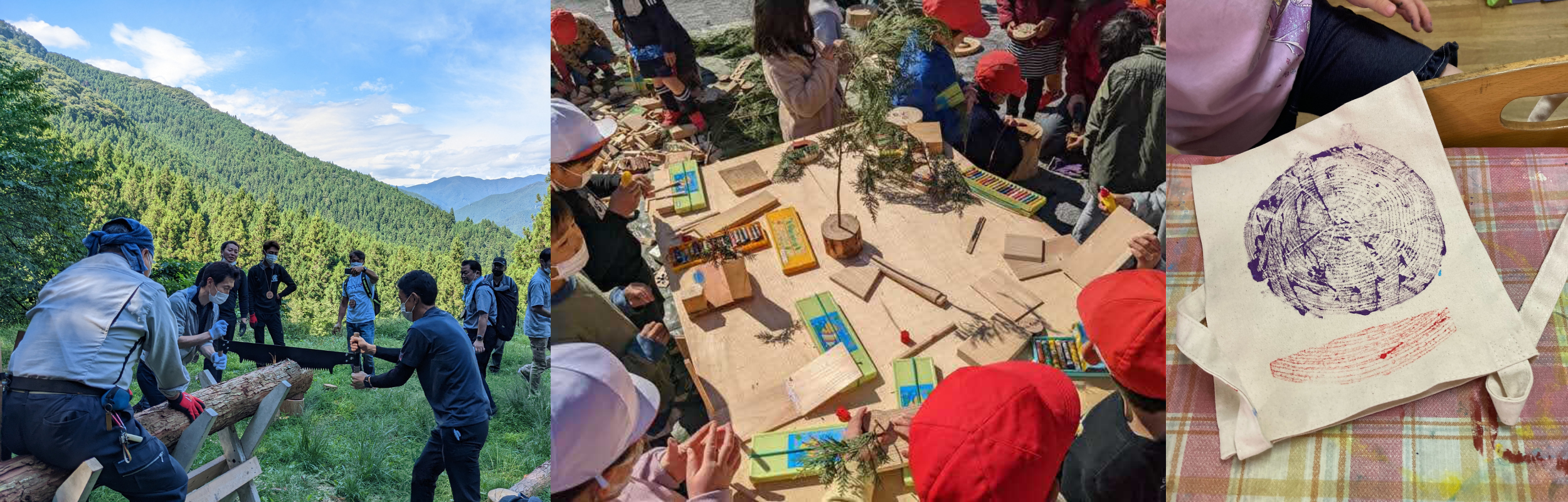 森林体験イベントイメージ