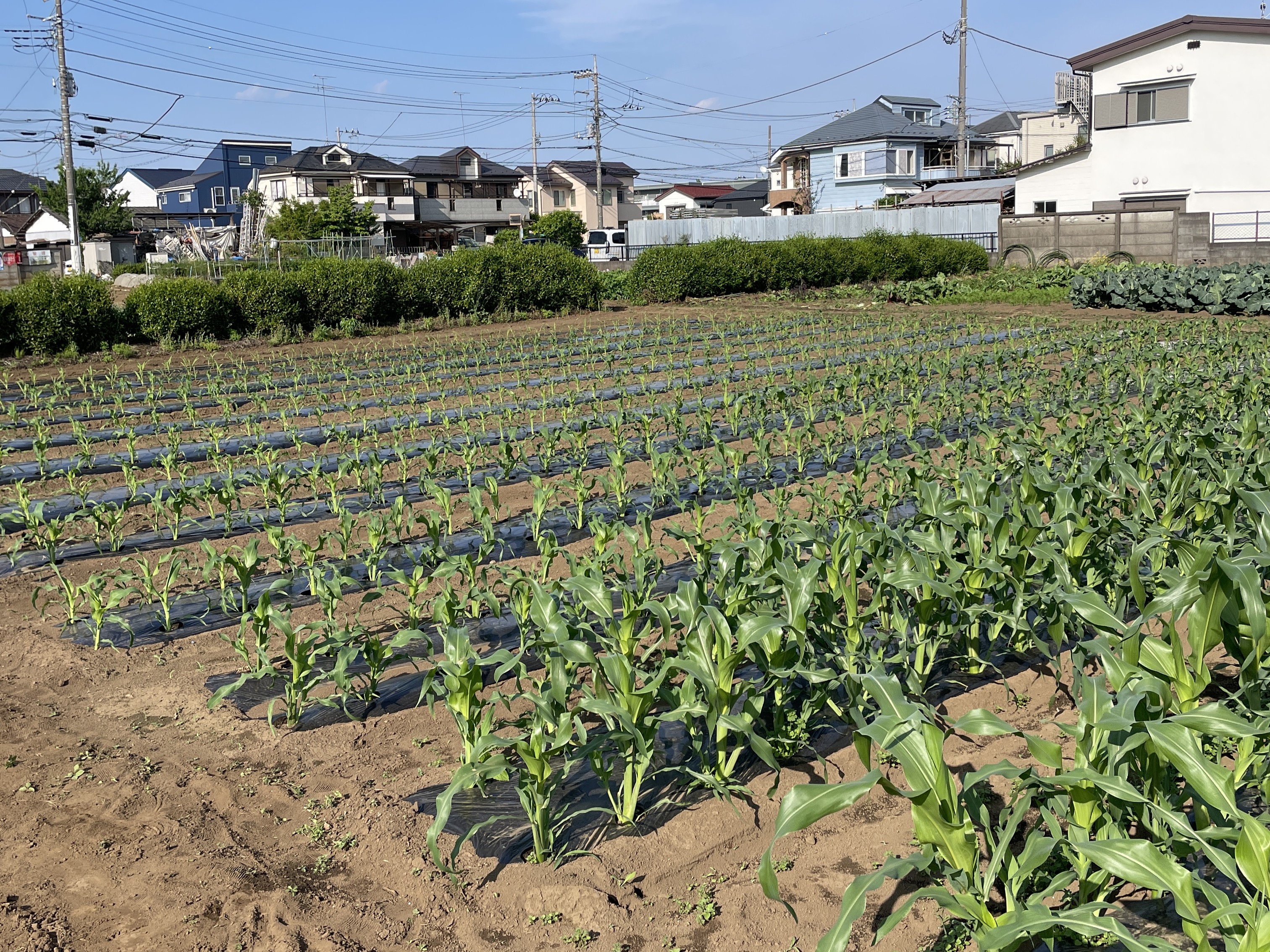生産者プロフィールリスト画像