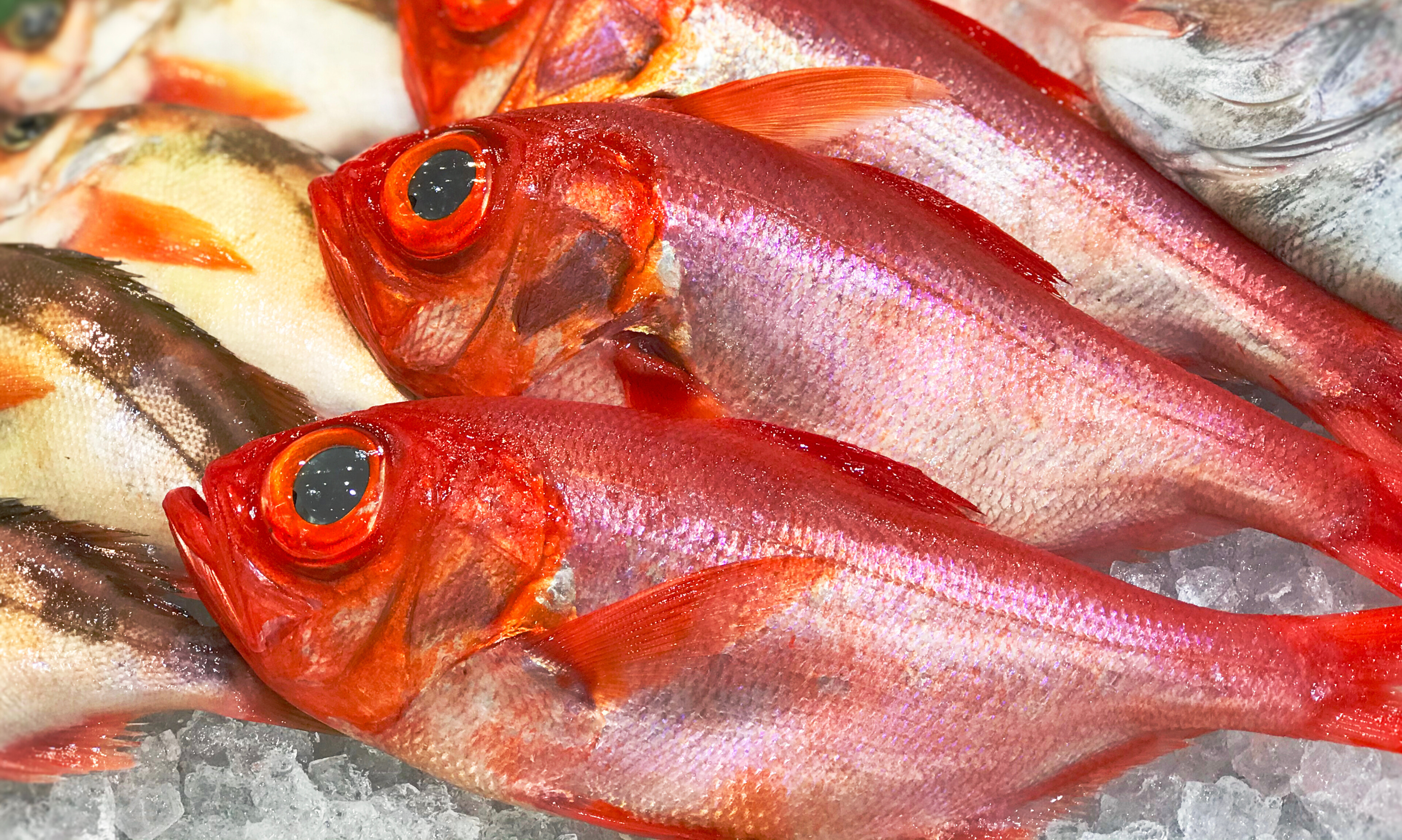 イベント詳細トップ