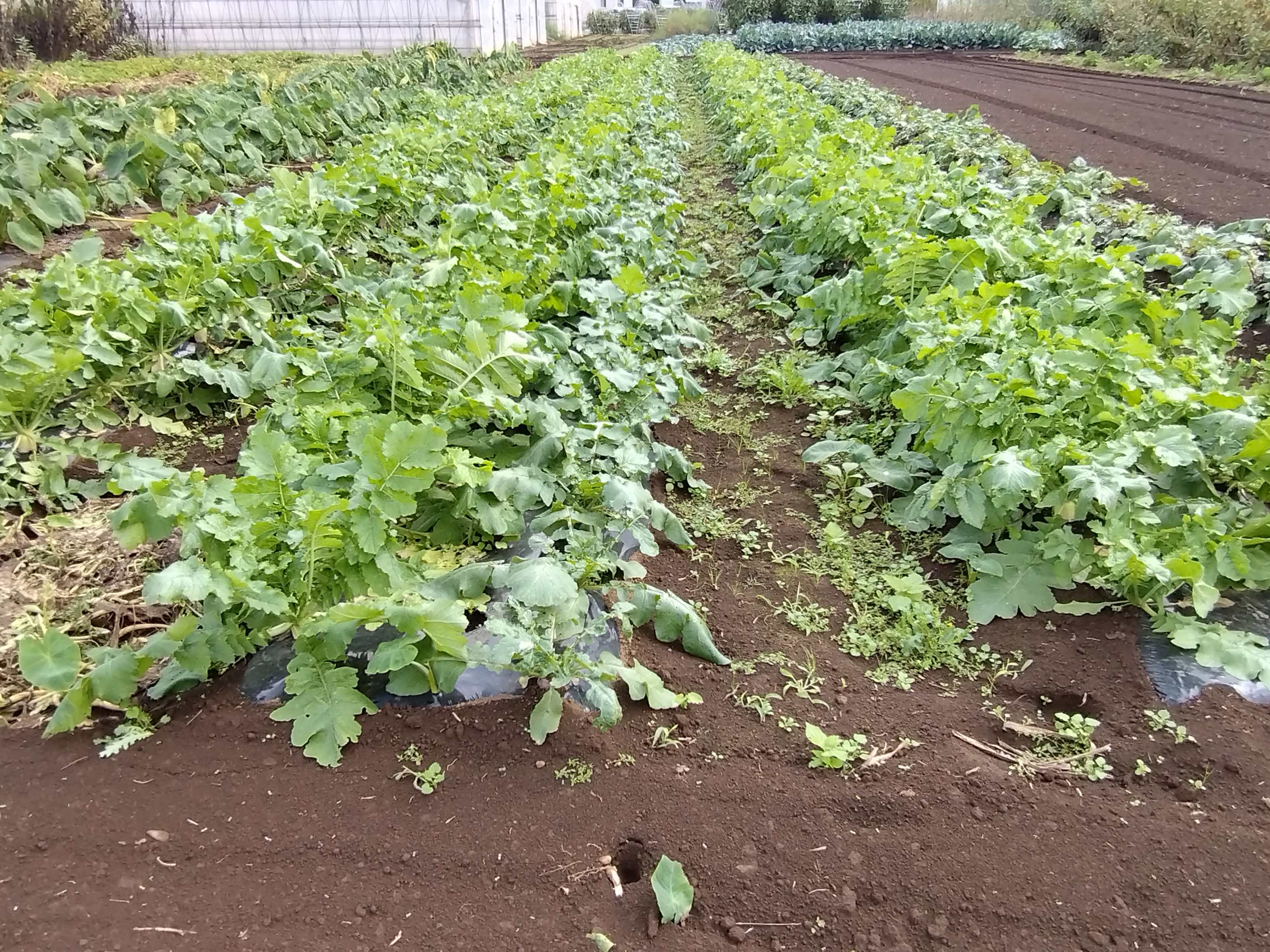 生産者トップ画像