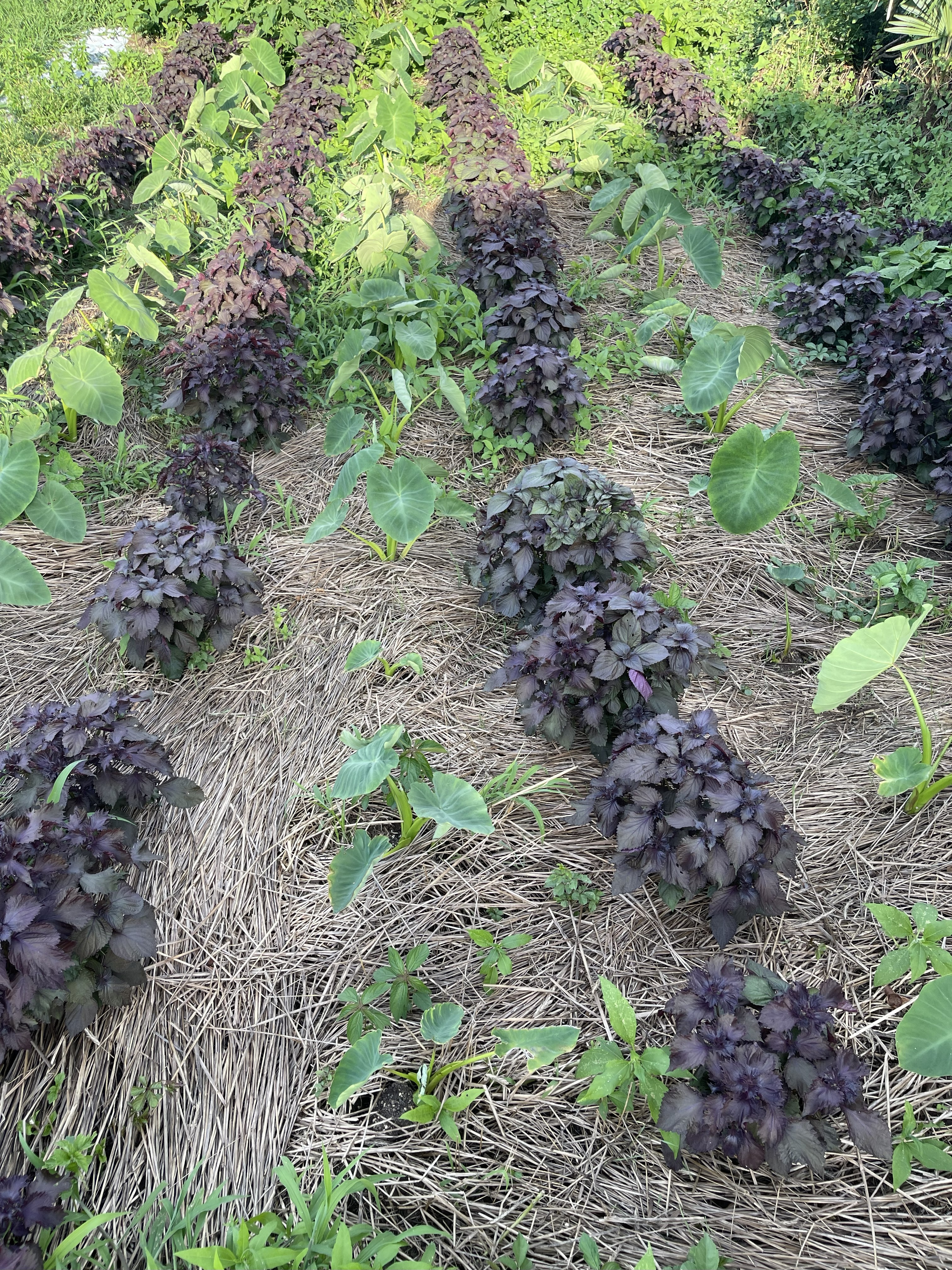 生産者プロフィールリスト画像