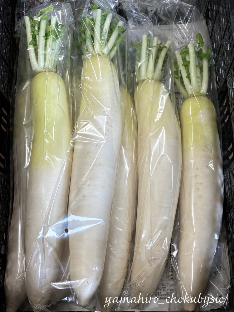 イベント出店リスト画像