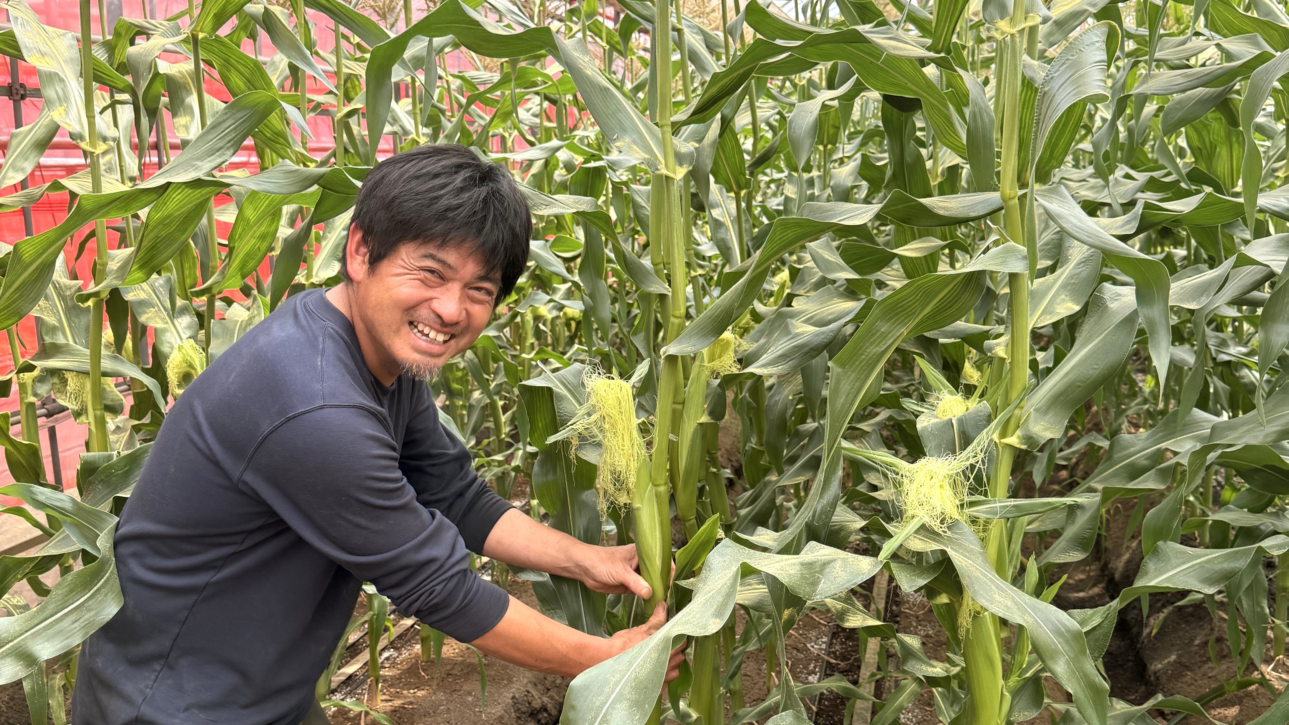 生産者トップ画像