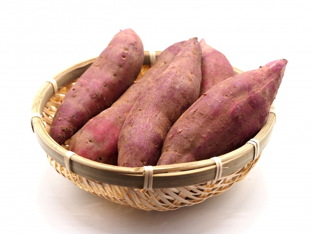 生産者インタビュー