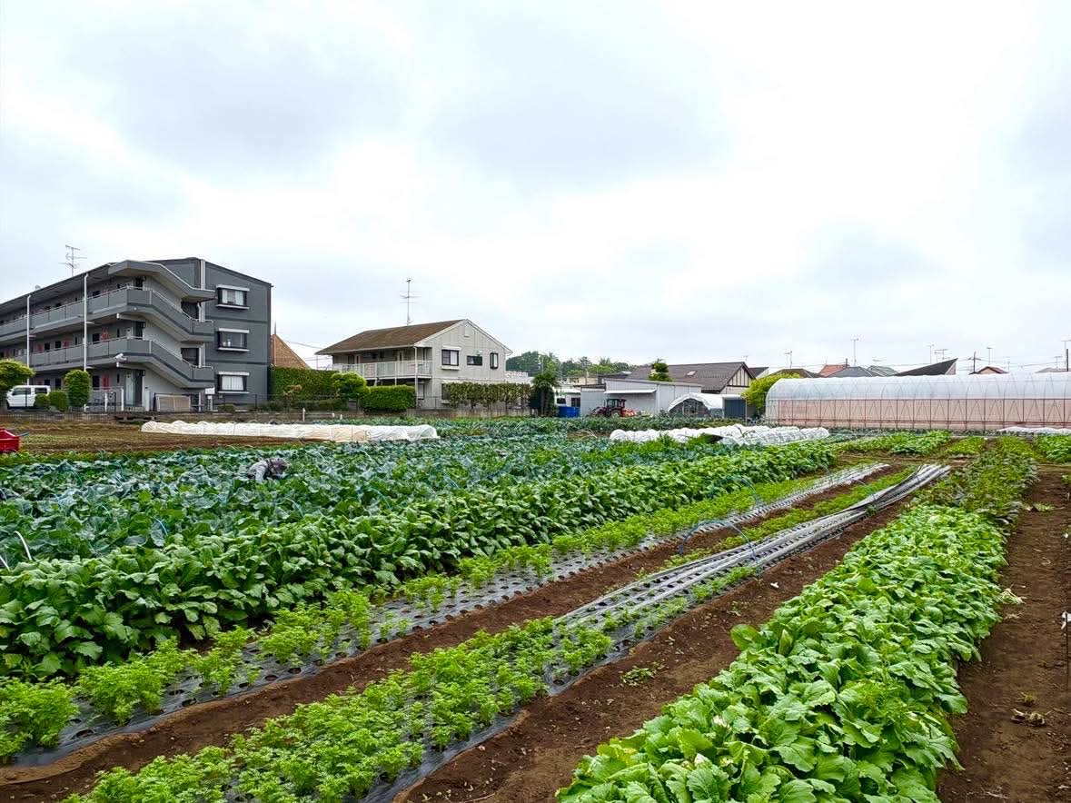 生産者プロフィールリスト画像