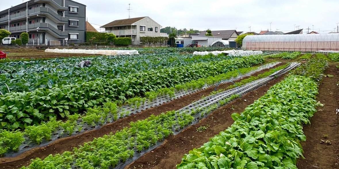 生産者トップ画像