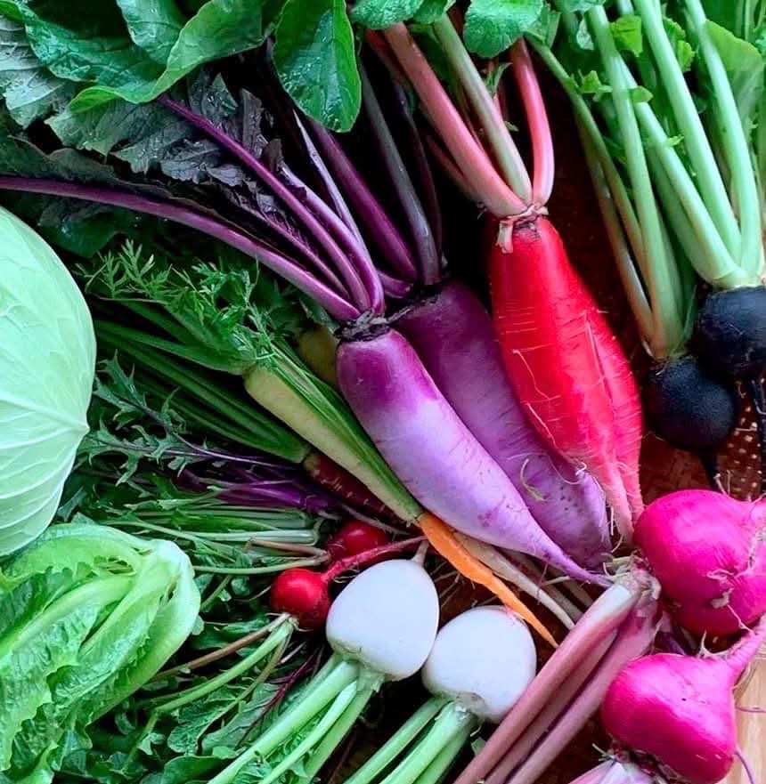 生産者プロフィールリスト画像