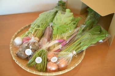 イベント出店リスト画像